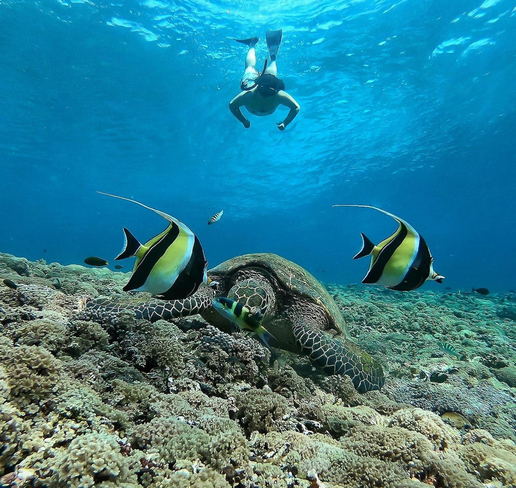 Kokomo Resort Gili Trawangan Dış mekan fotoğraf